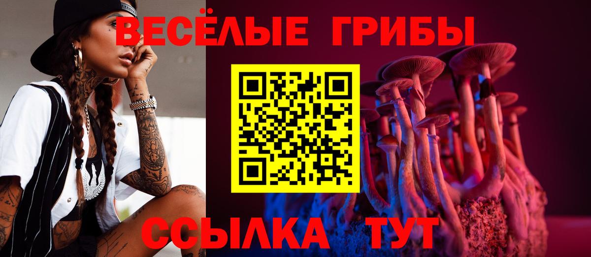 Псилоцибиновые грибы Magic Shrooms  Вход с VPN  Ишим  Галлюциногенные грибы GOLDEN TEACHER 