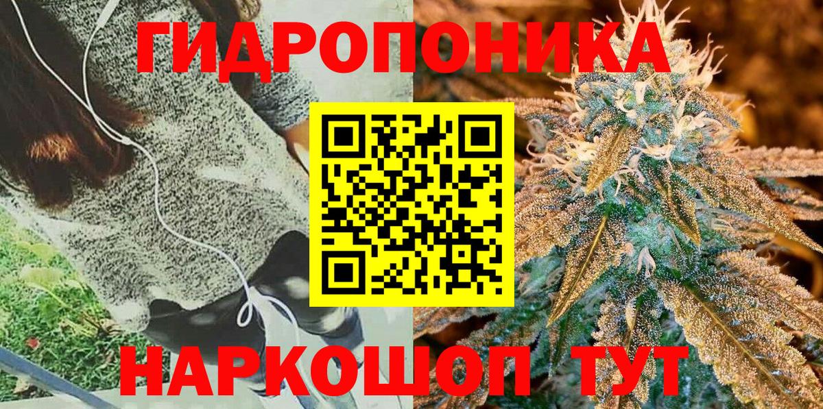 Конопля сатива  Бошки Шишки AK-47  Ишим  Вход с VPN 
